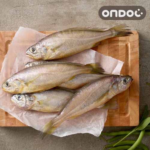 온도씨  국내산 제주 참조기 특대 120g내외