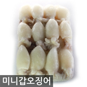 미니갑오징어 베이비잇가 손질 해물요리 작은갑오징어
