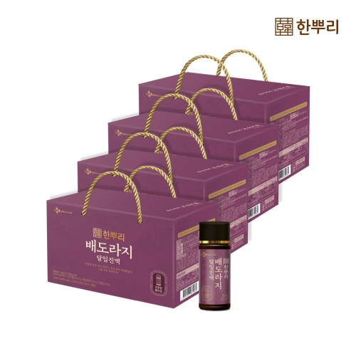 한뿌리 배도라지 달임진액 100ml 10병
