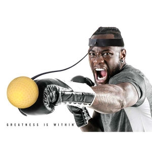 에버라스트  잽볼 복싱 펀치운동 순발력 전신운동 수련