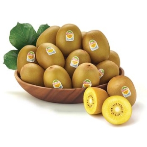 우리존  제스프리 참 골드키위세트 점보왕대 20과 2.6kg