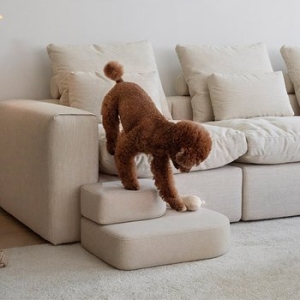 일룸  펫스텝 (패브릭)