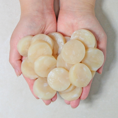 생선생  가리비 관자 500g 1팩