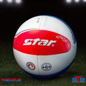 스타스포츠 신신상사  족구공 스타 태극 2015 족구 족구화 네트