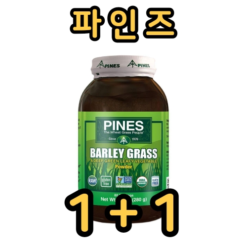 파인즈 새싹 보리 분말