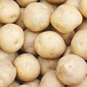 아빠의마음  햇감자 대 5kg