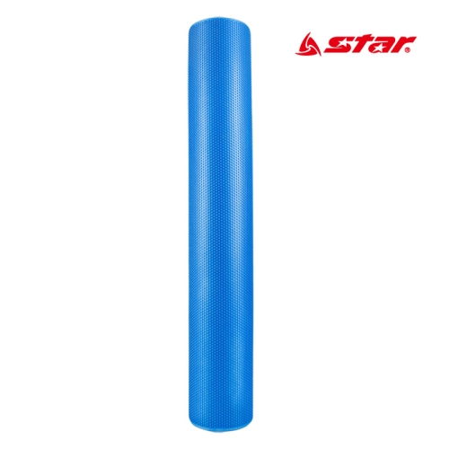 신신상사 스타스포츠 스타 EC100-90 폼롤러 블루