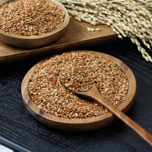 이마트 정읍농부의 찰홍미 1kg