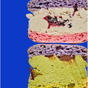 널담  뚱카롱 마카롱 8종 2세트 총16구 사랑+감동세트