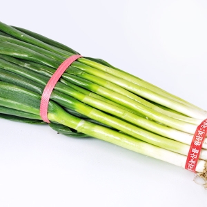 익산원예농협  대파 2kg [1개] 상품이미지