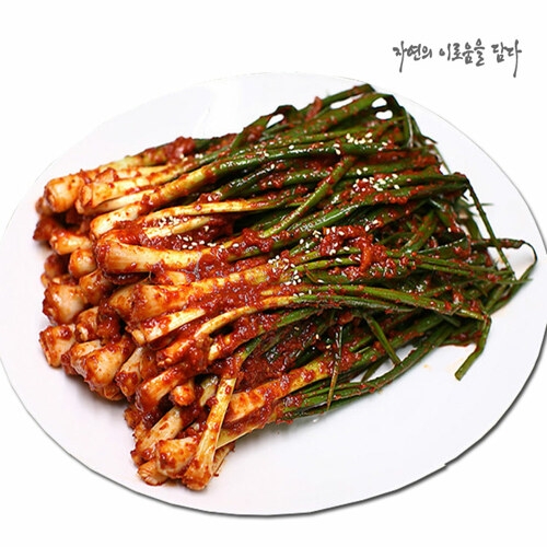 광신농산 빛고을 남도 파김치 2kg [1개] - 에누리 가격비교
