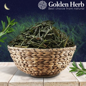 골든허브 국내산 야관문 비수리/야관문환/차/주