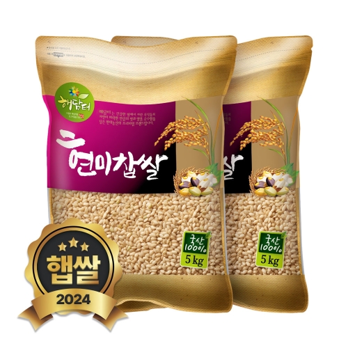 현대농산 국산 찹쌀 5kg