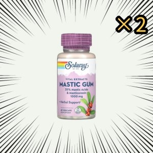 솔라레이 매스틱검 추출물 500mg 45정 2팩