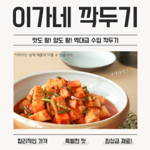 이가네  깍두기 10kg