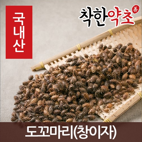 창이자 도꼬마리