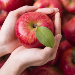 자연품애  가정용 부사 사과 꼬마소과 10kg