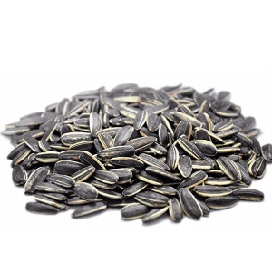 디에이  볶은 피해바라기씨 꽈즈 1kg