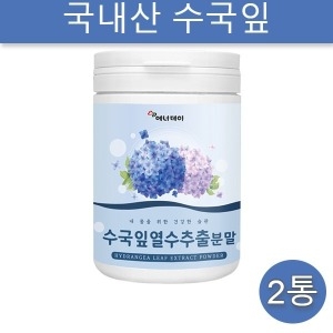 에너데이 수국잎추출물 분말 AMPK 리세린지 안토시아닌 사포닌