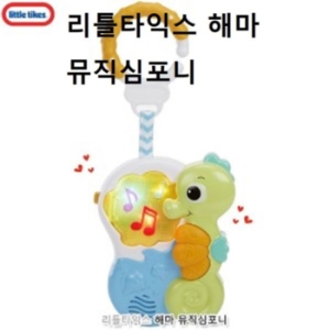 리틀타익스 해마 뮤직 심포니