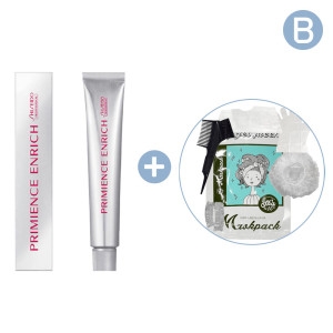 시세이도 프리미언스 엔리치 염색약 새치커버 NB8