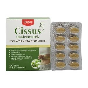 파이오라 시서스 1000 90정