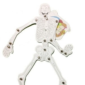 인체골격 맞추기 10인