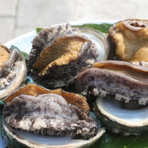 우체국쇼핑  바다마을 완도전복 12-13미 1kg 1. 아이스박스포장