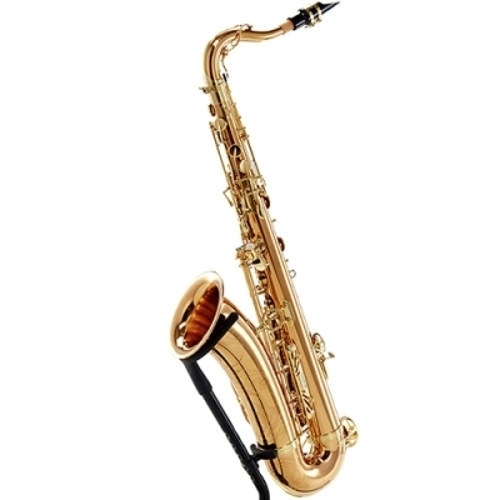 야나기사와  테너색소폰 T-WO20 테너 TWO20 브론즈
