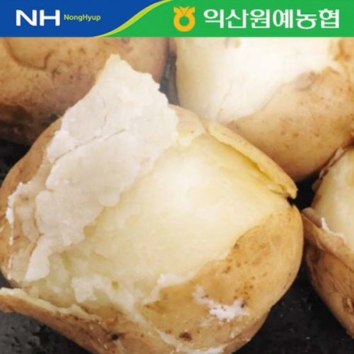 농협 수미감자10kg 왕특/개당150-250g