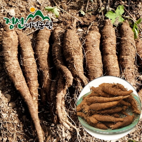 정선더덕농원 6년근 생더덕 중 1kg