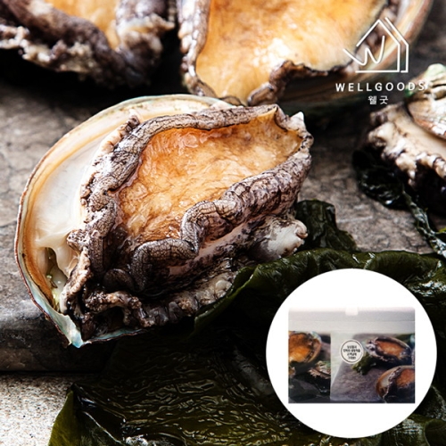 웰굿  완도 활전복 최고급 선물세트 6호 1kg 8~9미