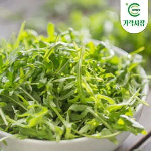 온도씨 가락시장 와일드루꼴라 1팩 250g
