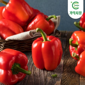 온도씨  홍피망 500g