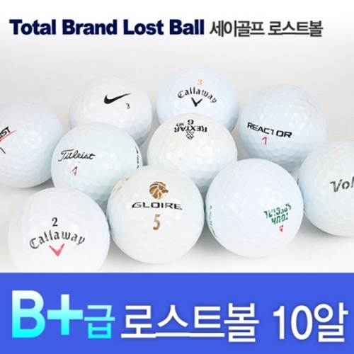 피나클  B+급 로스트볼 10알 초급자 전용볼 유명 브랜드 혼합 B+급 로스트볼_착불 LOST050