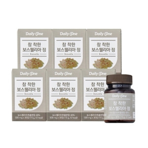 네이처스토리 데일리원 참 착한 보스웰리아정 500mg 30정