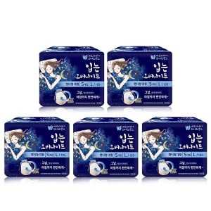 에브리데이 화이트센스 입는 오버나이트 대형 5개