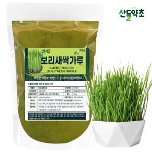 산들약초 새싹보리 분말 500g 보리새싹 보리순 청정지역 제주도