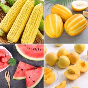 다농이네  복숭아 / 참외 / 초당옥수수 / 매실 / 수박 / 세척사과 등