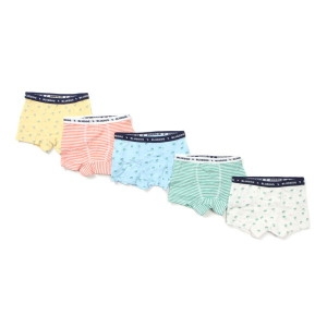 블루독 블루독아동 키즈6 YE 스트라이프 팜트리 드로즈 5종세트 남아 팬티 2291051010