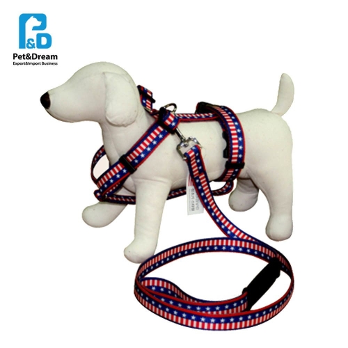 쏘아베 대형견 가슴줄 25mm 세트