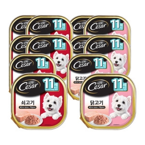 시저 11세이상 쇠고기 100g 2종