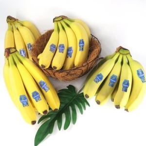 월드마켓  치키타 바나나 2송이 2.6kg