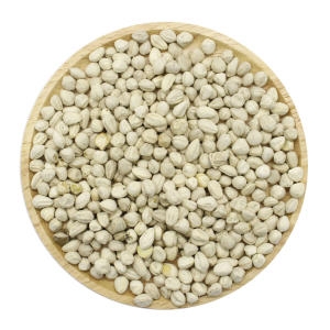 샘그린유통  모링가 씨앗 500g