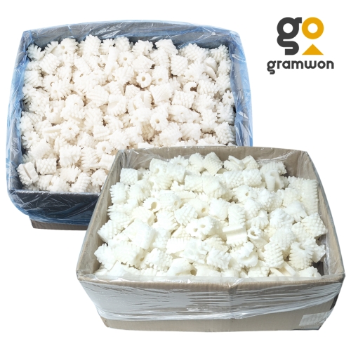 그램원  솔방울오징어 10kg