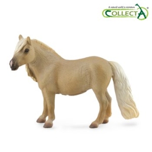 팔로미노 팔라벨라 암말 (88820)