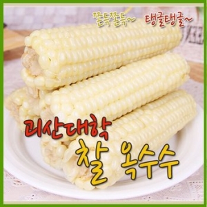 개미네농가 괴산 대학찰옥수수