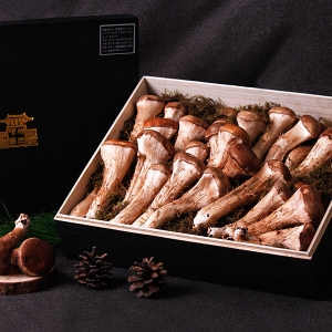 감동몰  프리미엄 참송이버섯 특품 선물세트 1kg