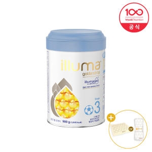 와이어스 일루마 골든드롭 3단계 900g