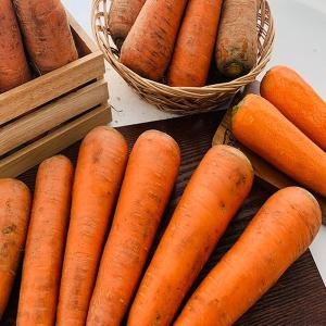 농부곳간  제주구좌 햇 흙당근 주스용 중 10kg